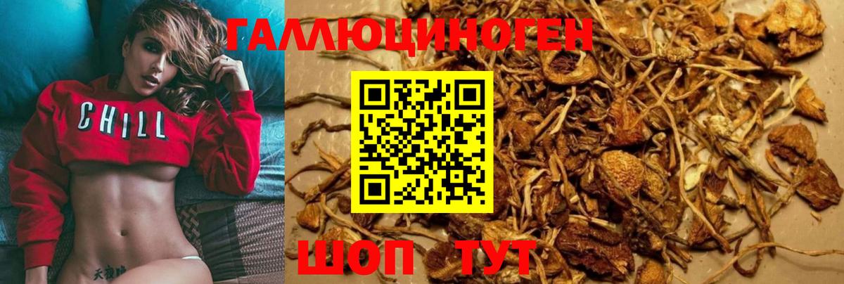Псилоцибиновые грибы прущие грибы Углич